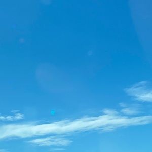 Meet your Posher, Maxene